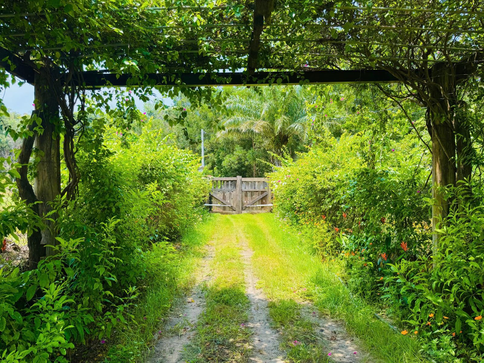 Team Gia Đình Đi Chơi? Chọn Thuê Villa Hồ Tràm Có Sân Vườn Rộng Rãi Là Số 1!