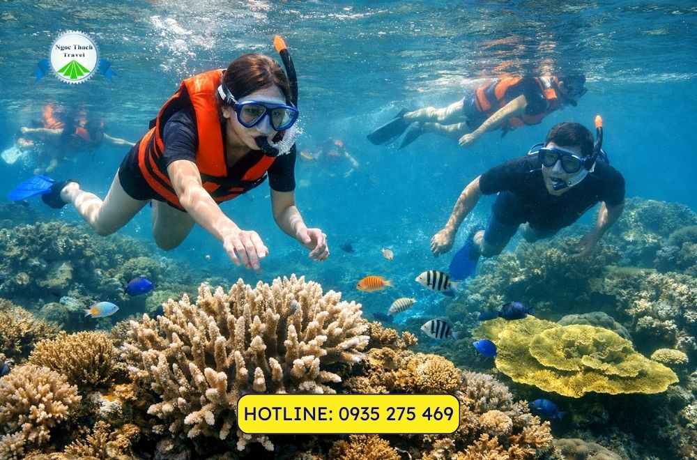 Lặn Ngắm San Hô Sơn Trà