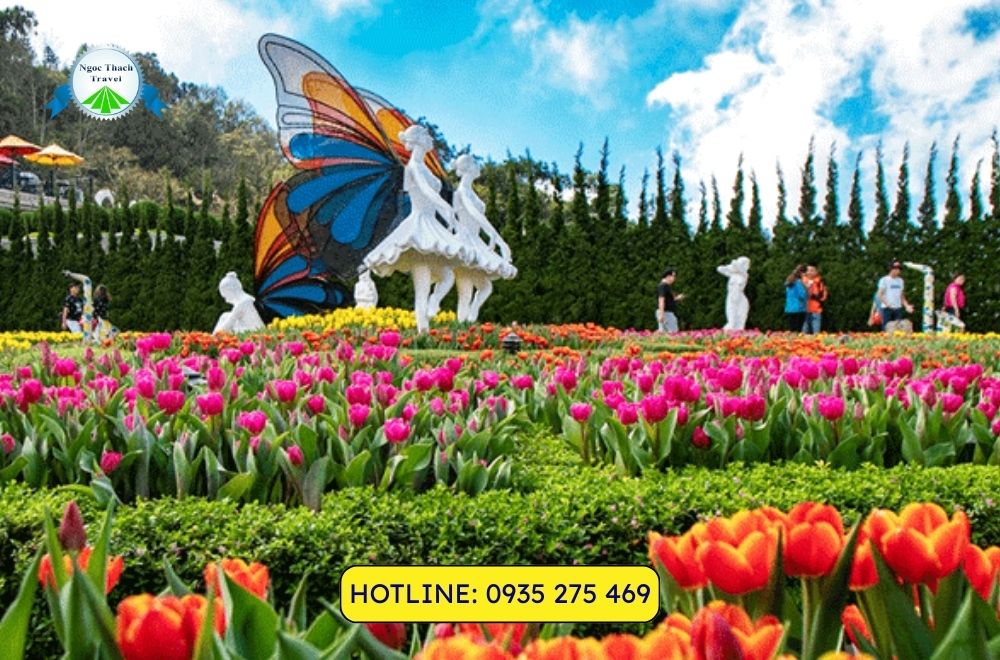 Hoa Bà Nà trên mây