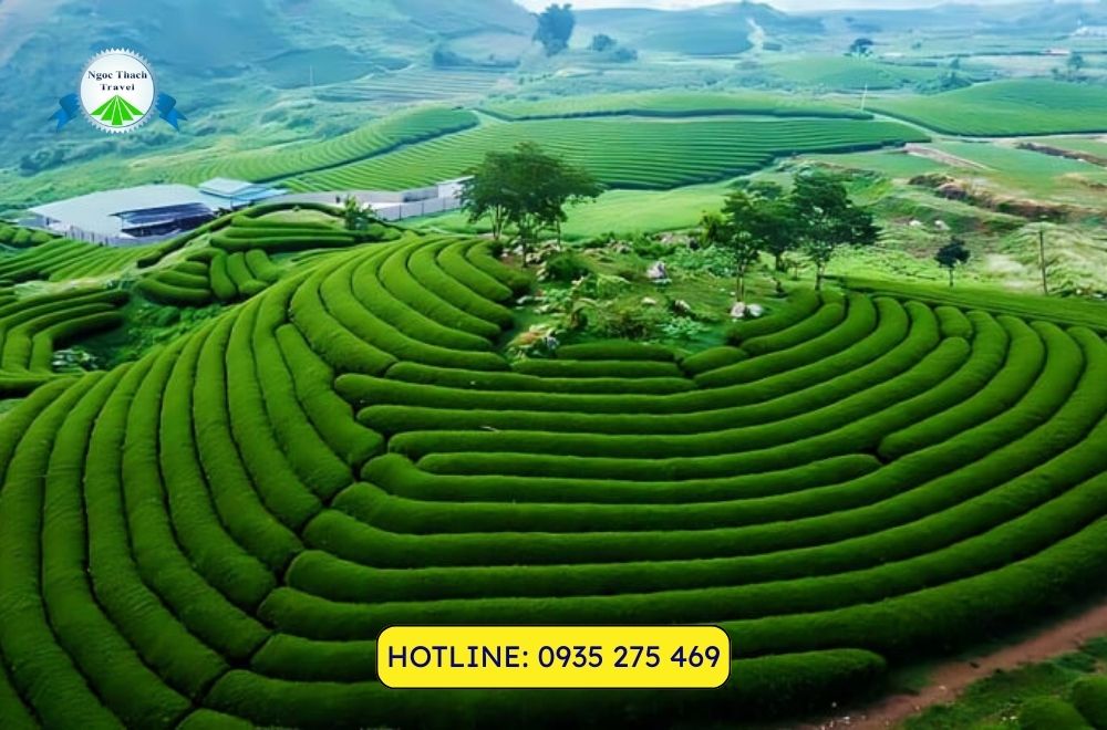 Mộc Châu – Thiên Đường Du Lịch Cao Nguyên Tây Bắc