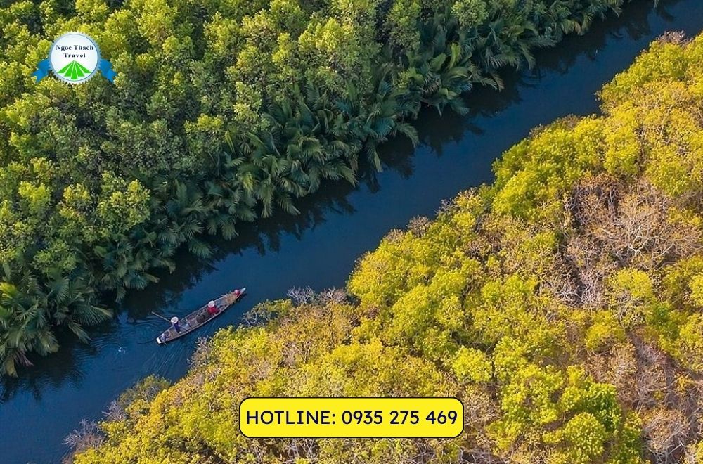 Rừng Ngập Mặn Rú Chá Huế – Điểm Du Lịch Sinh Thái Hấp Dẫn