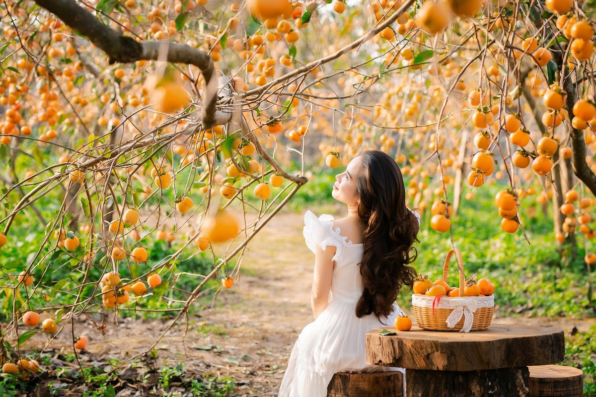 Moc Chau: A Perfect Autumn Escape in Northern Vietnam