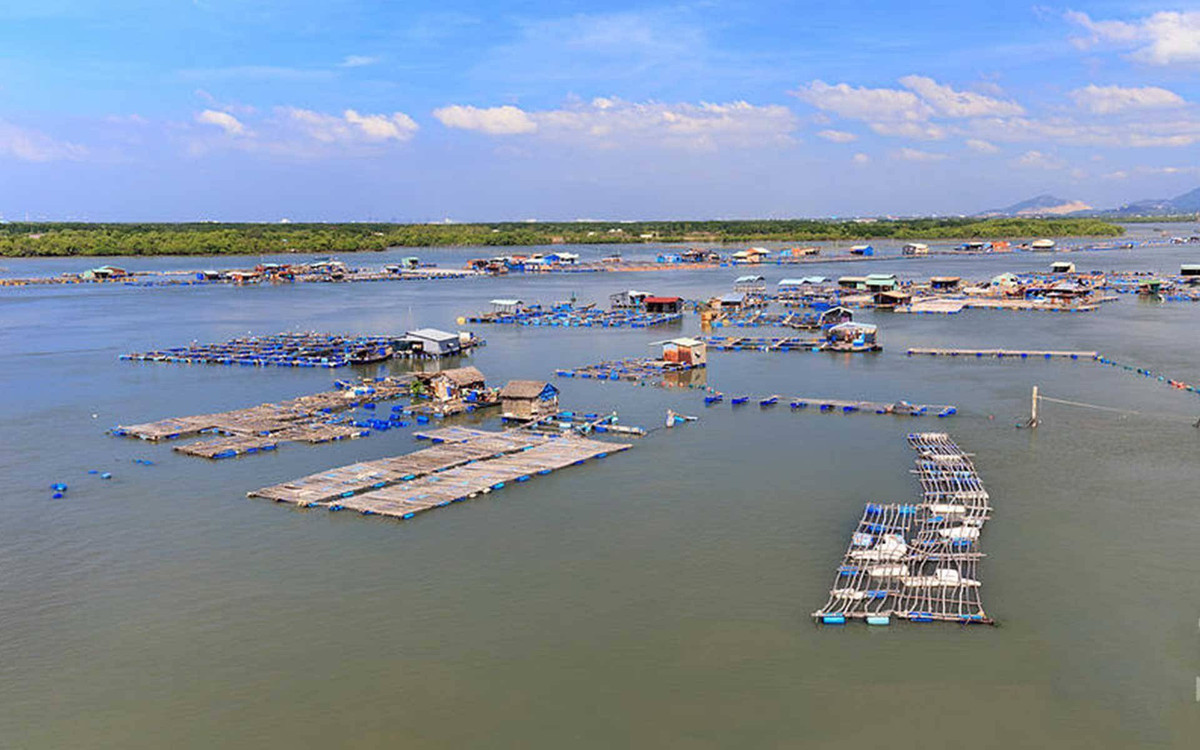 Vũng Tàu Food Tour - Lighthouse Views, Hidden Photo Spots, Vietnam Travel